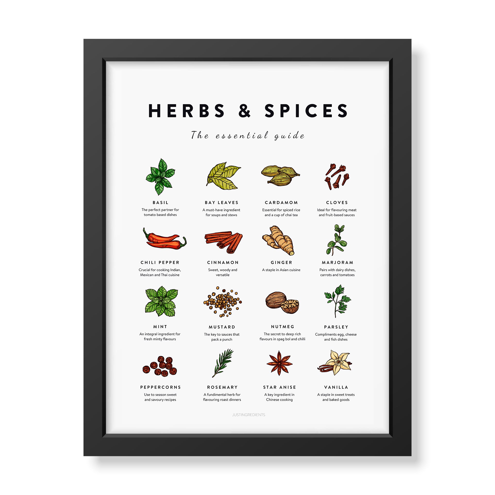 Herbs & Spices Poster